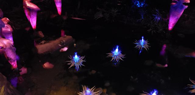 20190923_202027.jpg
