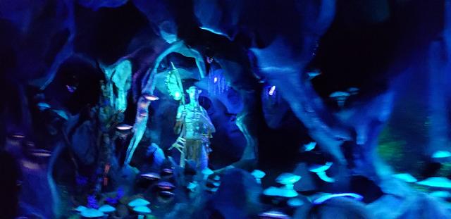 20190925_185824.jpg