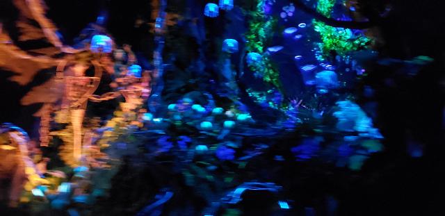 20190925_190344.jpg