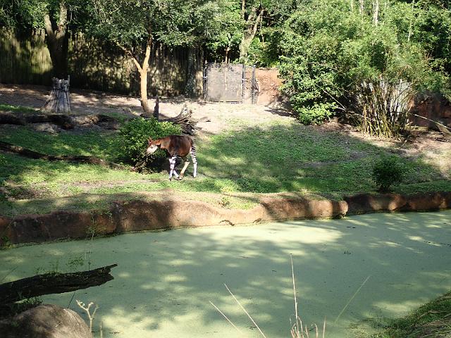 P9250269.JPG