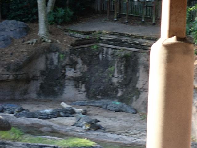 P9250277.JPG