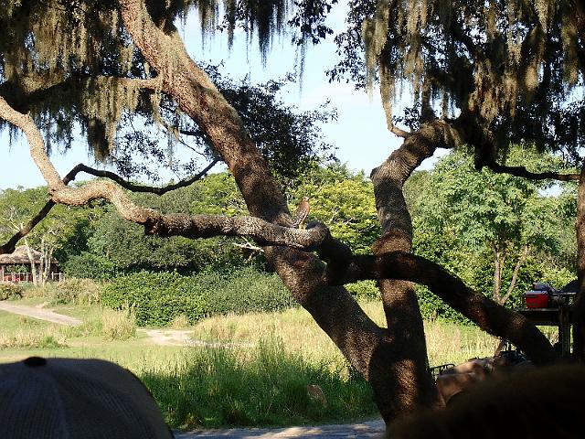 P9250300.JPG
