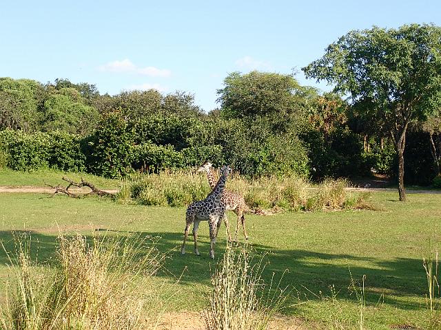 P9250307.JPG