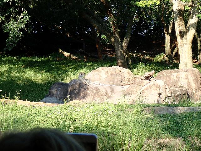 P9250338.JPG