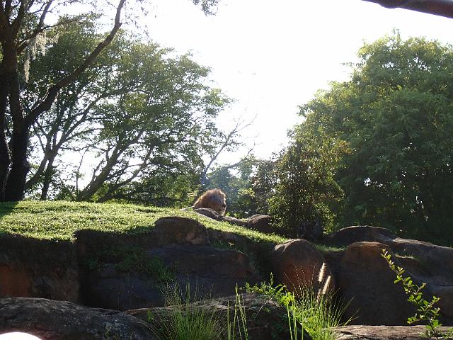 P9250341.JPG