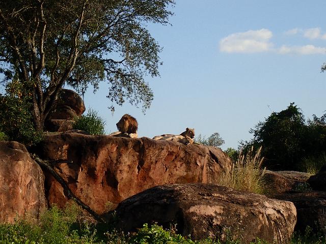 P9250345.JPG