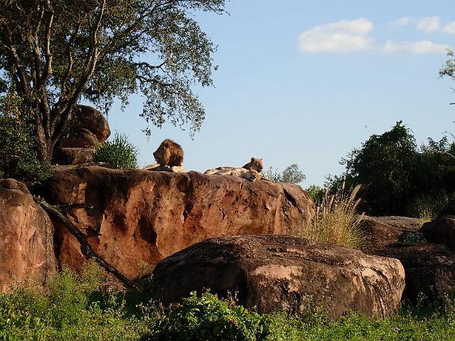 P9250346.JPG
