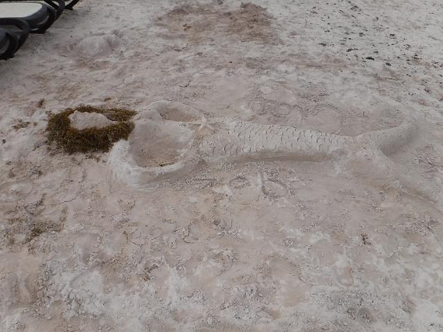 DSCF0069.JPG