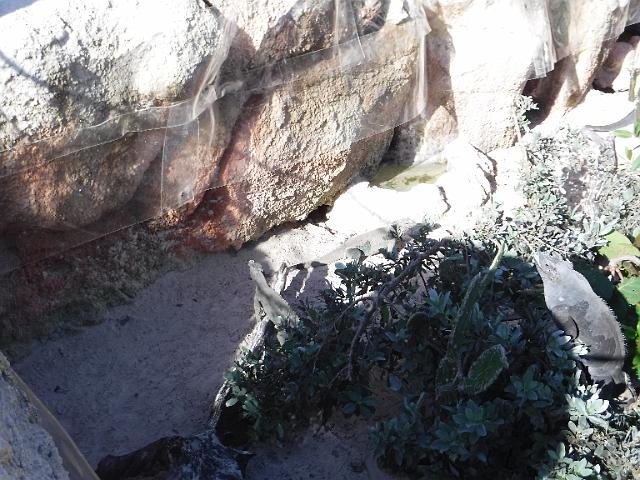 DSCF0077.JPG