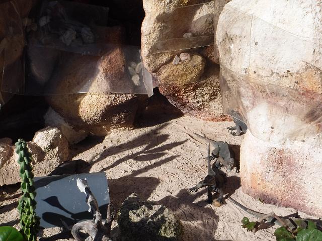 DSCF0078.JPG