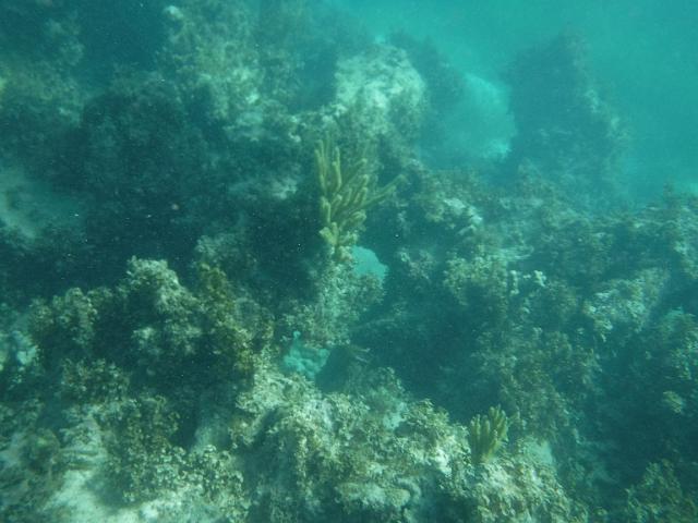 DSCF0141.JPG