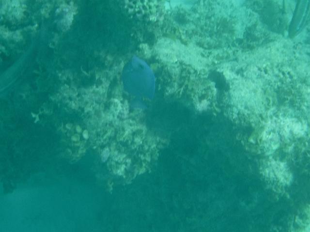 DSCF0143.JPG