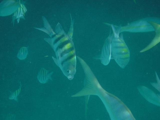 DSCF0145.JPG