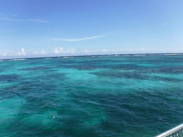 DSCF0155.JPG