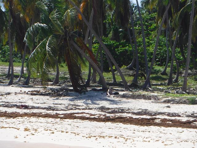 DSCF0161.JPG