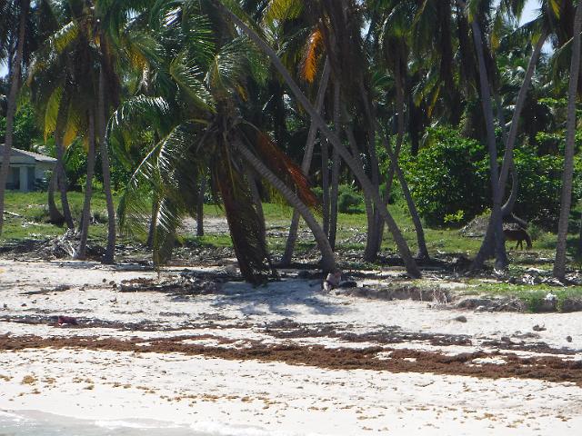 DSCF0162.JPG