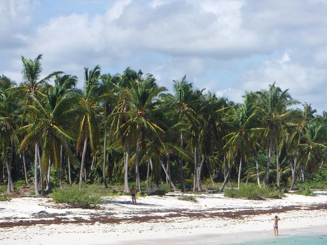 DSCF0163.JPG