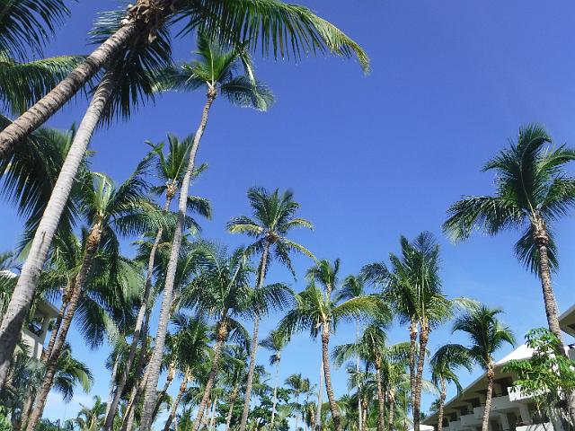 DSCF0202.JPG