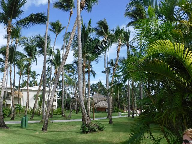 DSCF0214.JPG