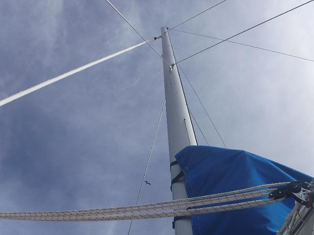 DSCF0265.JPG