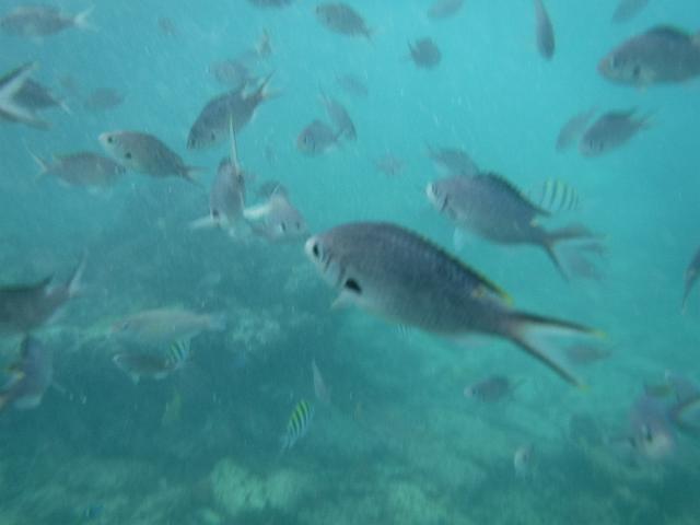 DSCF0272.JPG