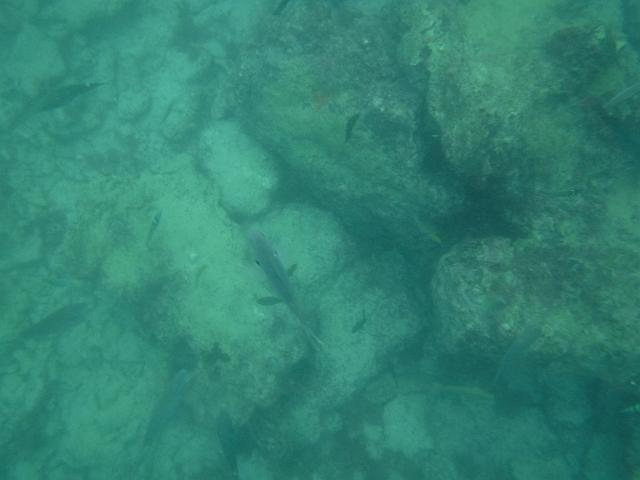DSCF0279.JPG