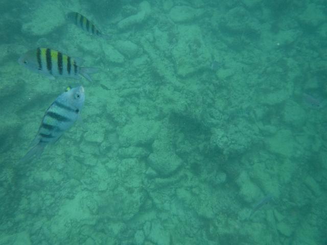 DSCF0280.JPG