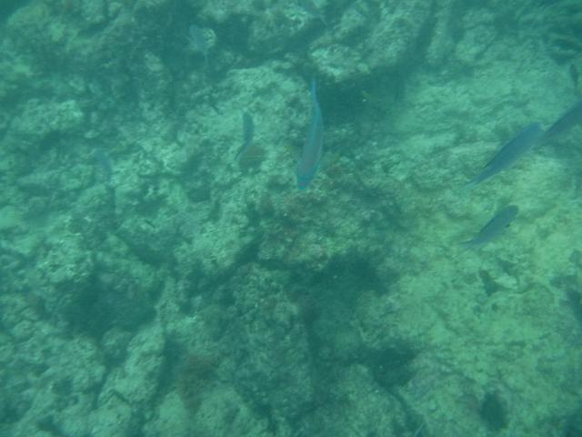 DSCF0286.JPG