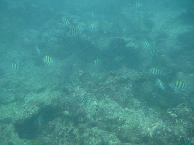 DSCF0290.JPG