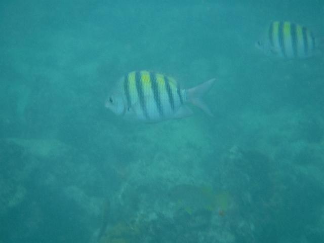 DSCF0304.JPG