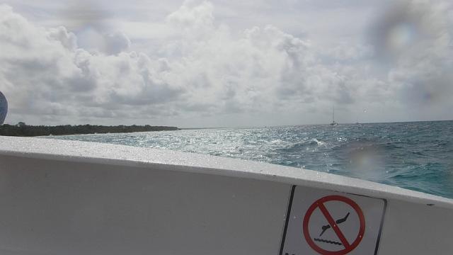 DSCF0338.JPG