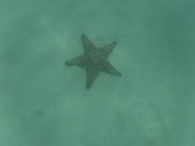 DSCF0351.JPG