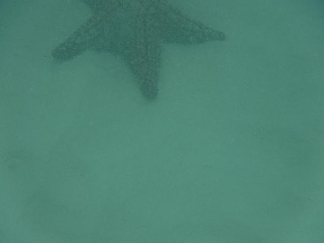 DSCF0352.JPG