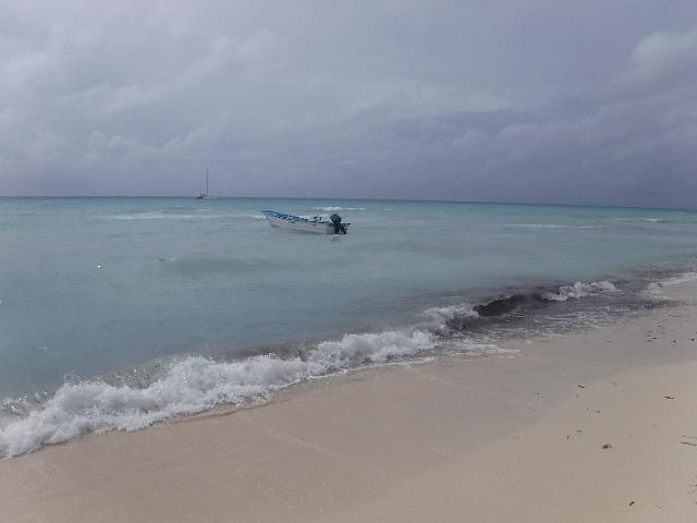 DSCF0382.JPG