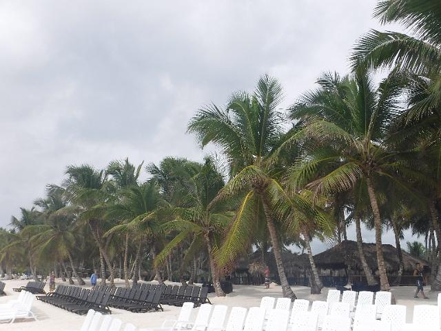 DSCF0385.JPG