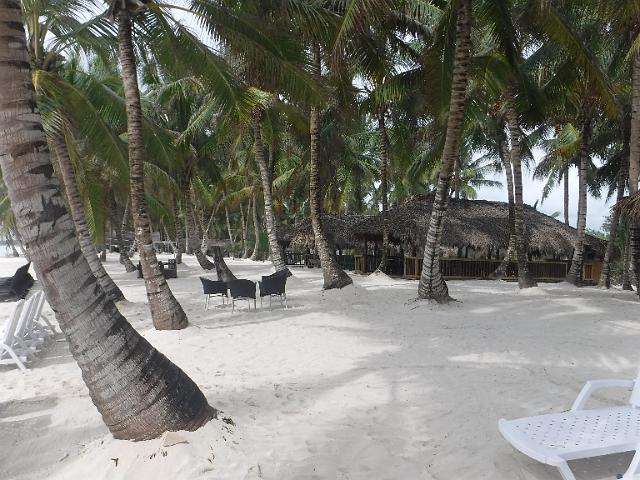 DSCF0398.JPG