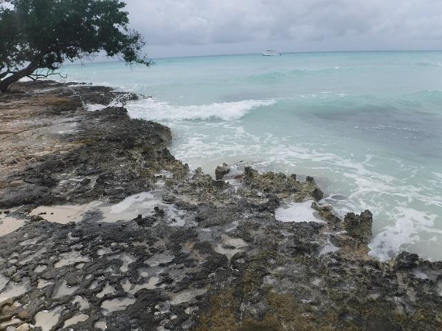 DSCF0406.JPG