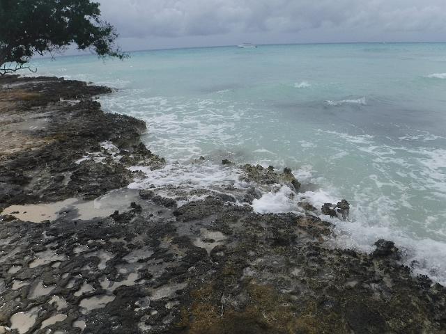 DSCF0408.JPG