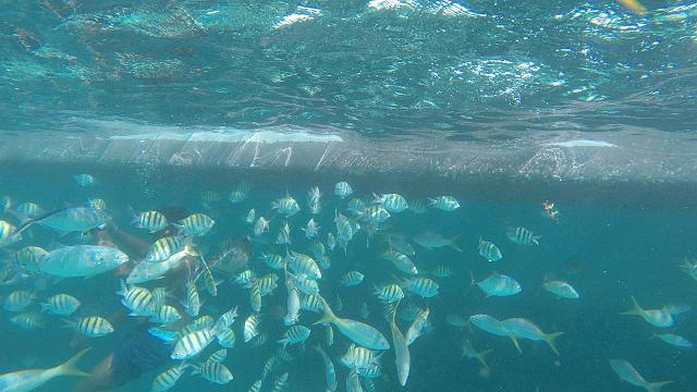 G0270054.JPG