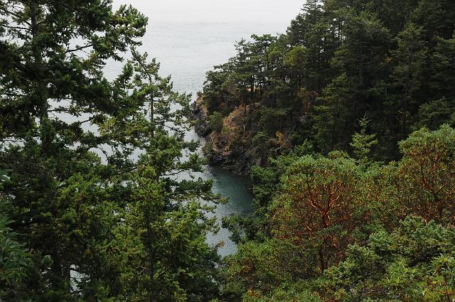 DJK_0294.JPG