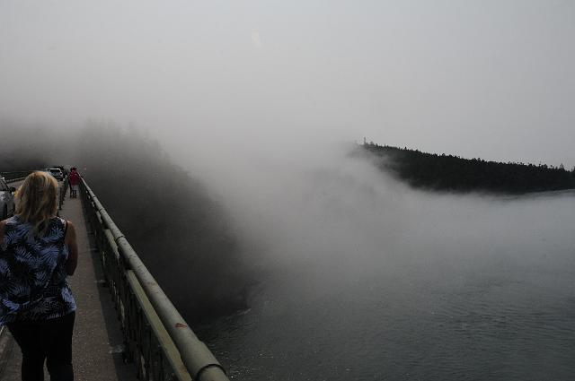 DJK_0329.JPG