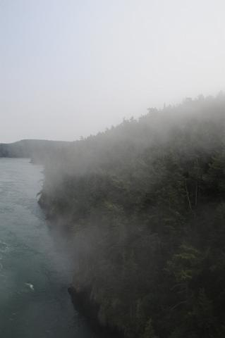 DJK_0380.JPG