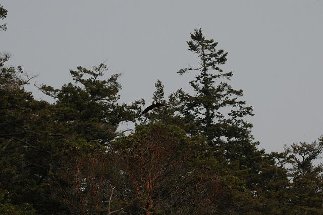 DJK_0432.JPG