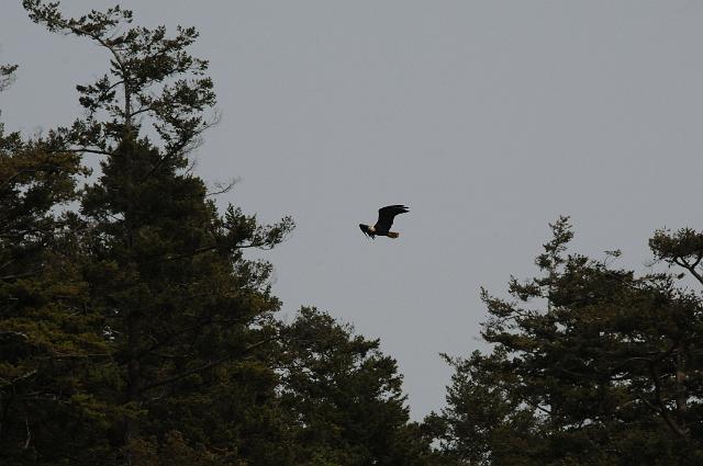 DJK_0434.JPG