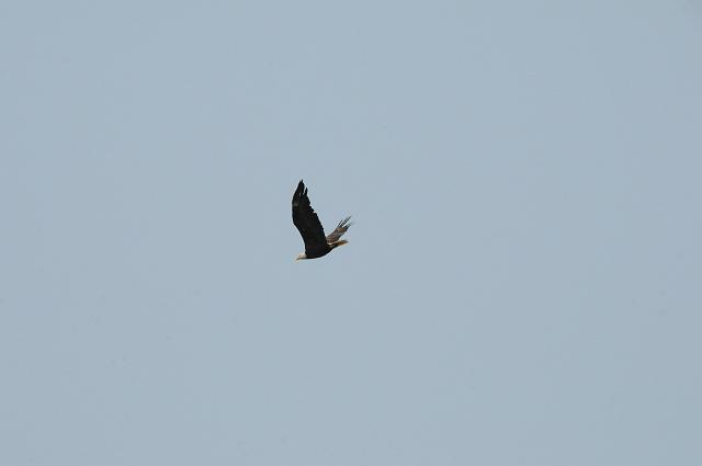 DJK_0439.JPG