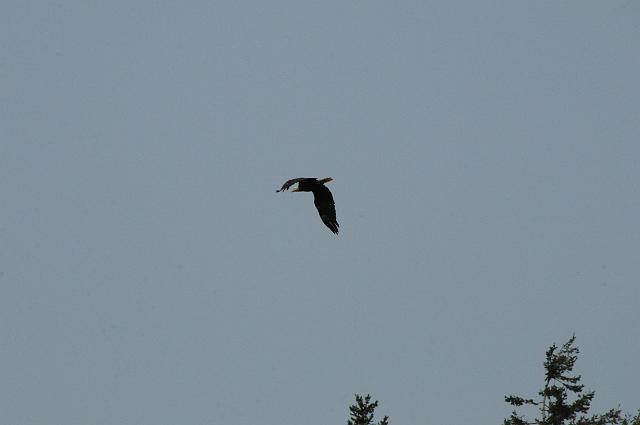 DJK_0440.JPG
