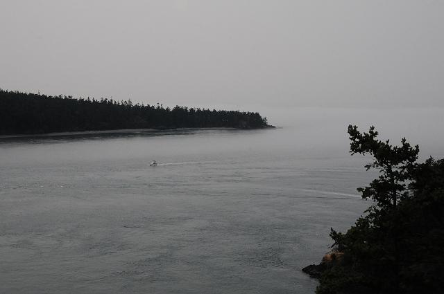 DJK_0446.JPG