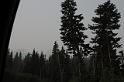 DJK_0123