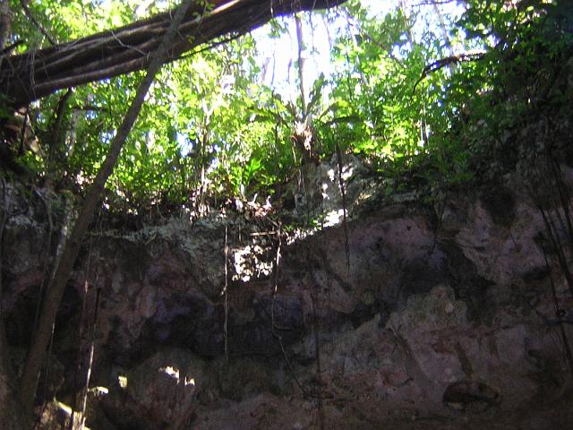 DSCN2956.JPG