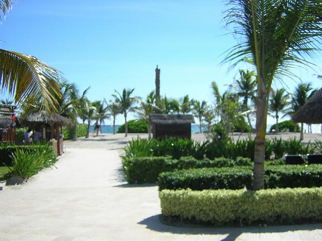 DSCN2971.JPG
